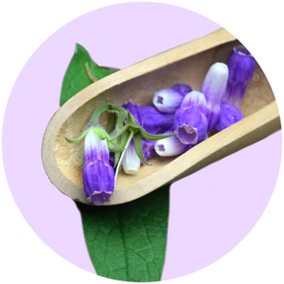 Allantoin