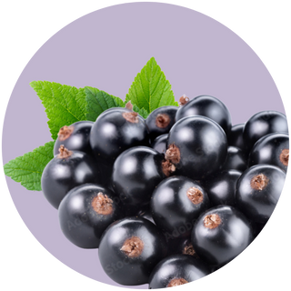 Black Currant
