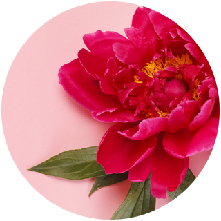 Rose Geranium Flower Oil